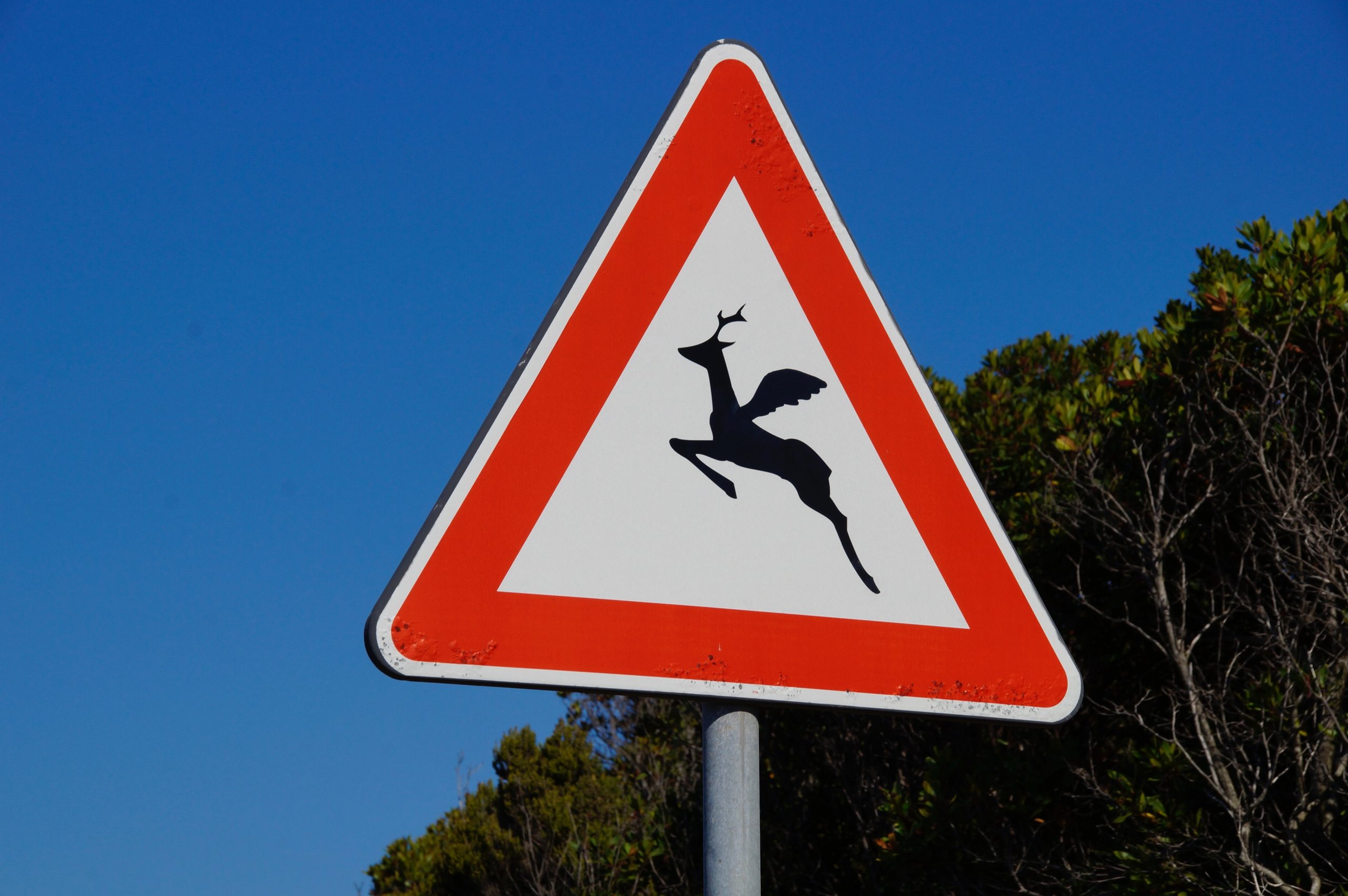 Nagymamákat tanító középiskolások